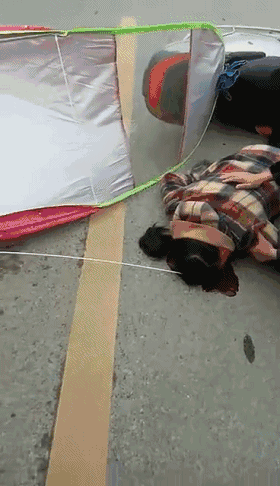 front1_0_FjknNtaU58lg0WEIoylwGHtEVUjT.1625796203.gif