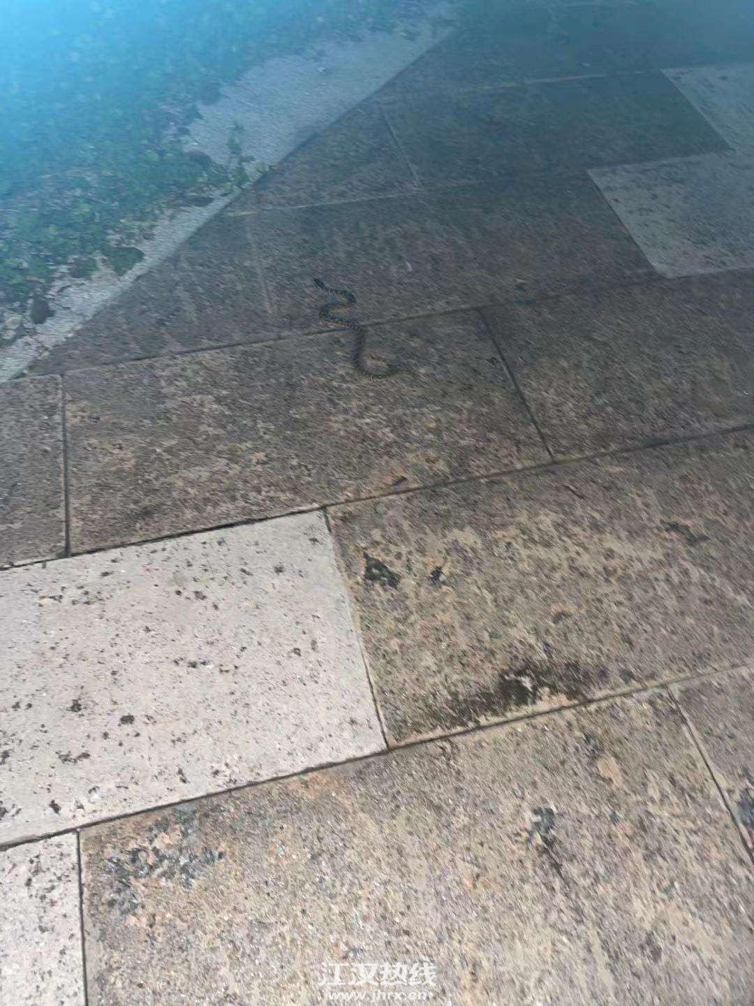 front2_0_FuusgkYxs5YU4pN9JSLYsoTjcoPg.1629219074.jpg