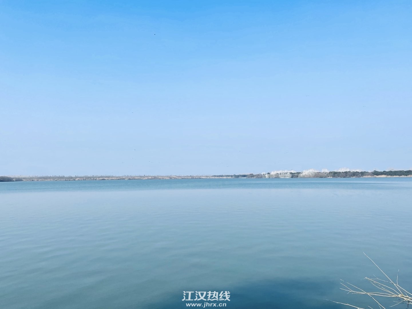 20220801101543front1_0_446080_Fg1mM0wZoghYDjp-tAwArTQp7KV4.jpg