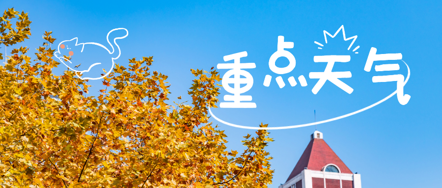 161331hbibgoaobgqzlqai.png