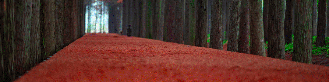 153539pi1c1vjdj0t011c2.gif
