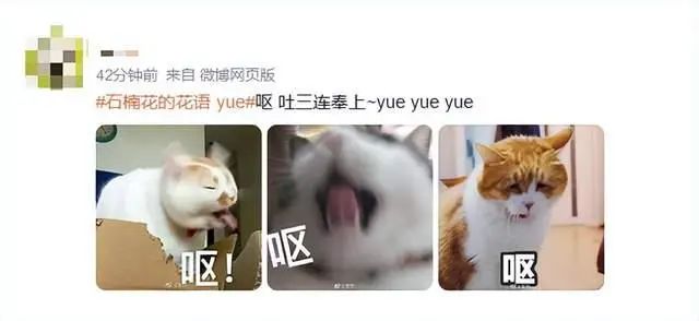 微信图片_20250409101138.jpg