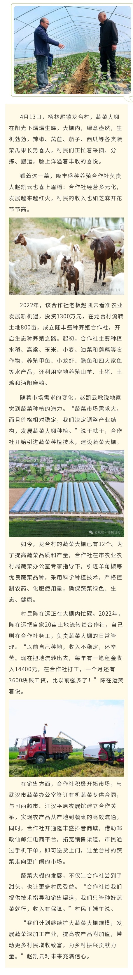 一块田两份收入，杨林尾这个村 - 副本 (2).jpg