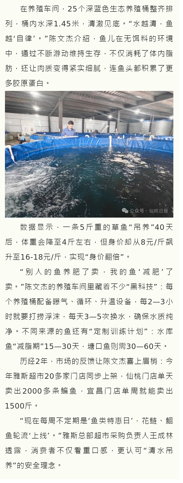 减肥鱼，啥味道？仙桃日报请你尝尝 - 副本 (2).jpg