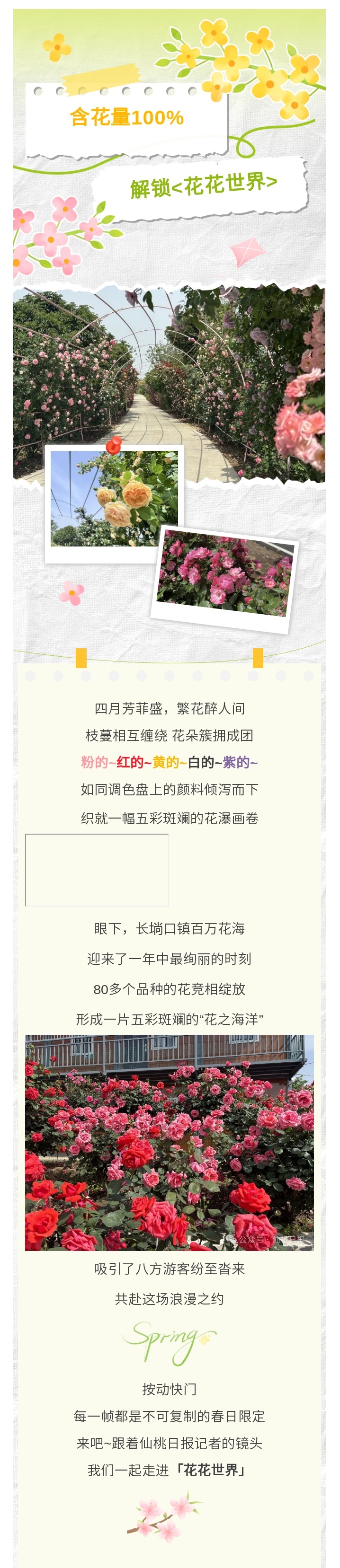 这片花海，80多种花花全开了！（送门票） - 副本.jpg