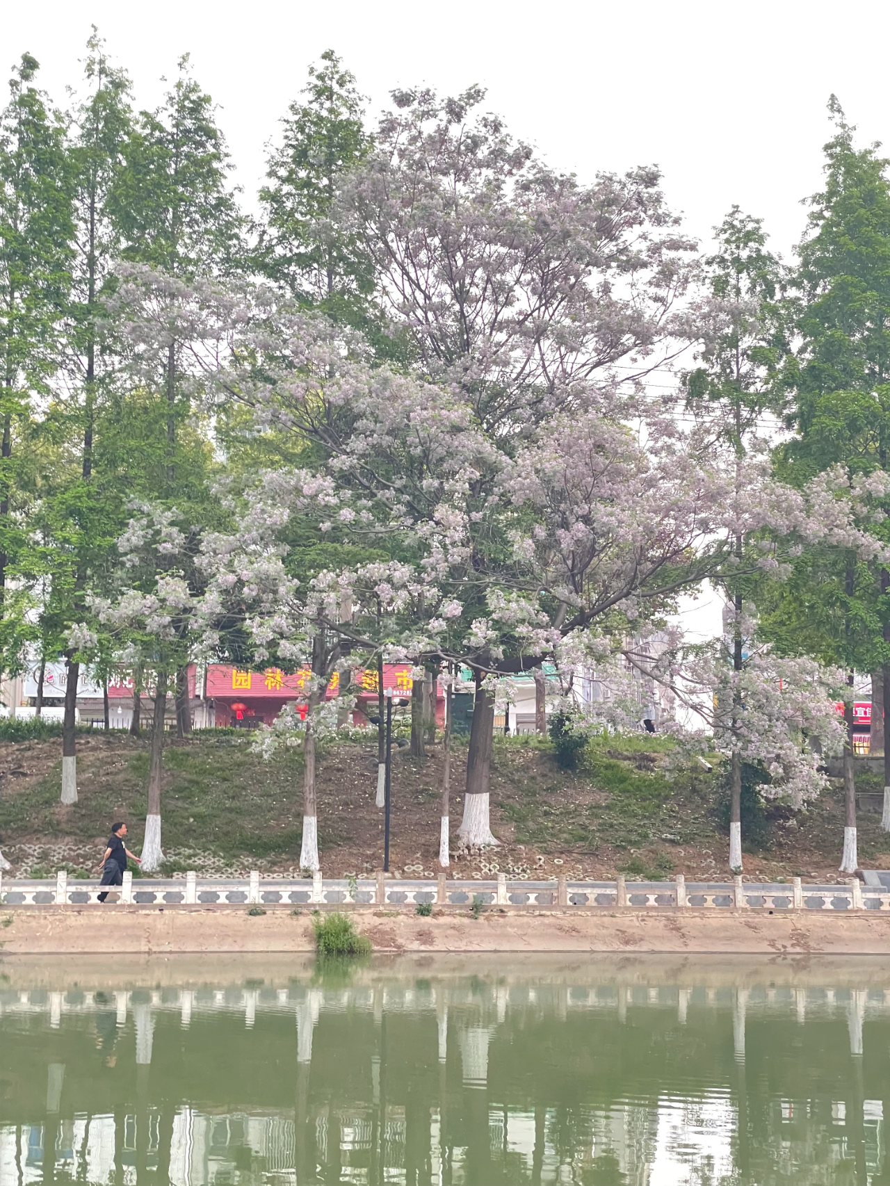 微信图片_20250427102735.png