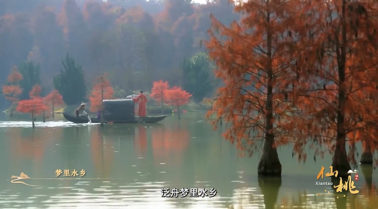 20250428110355front1_0_146362_Fr-AfsRgMyZrnVU-KUE_o6YyFH5h.jpg