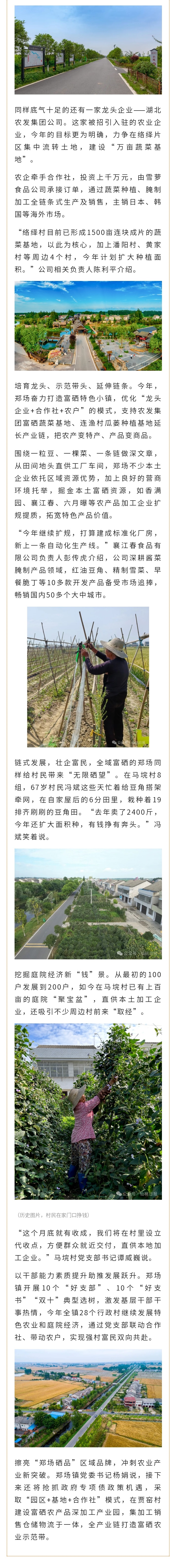 郑场硒品“硒望无限”，正在…… - 副本 (3).jpg