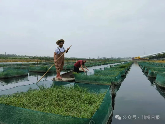 QQ截图20250509152530.png