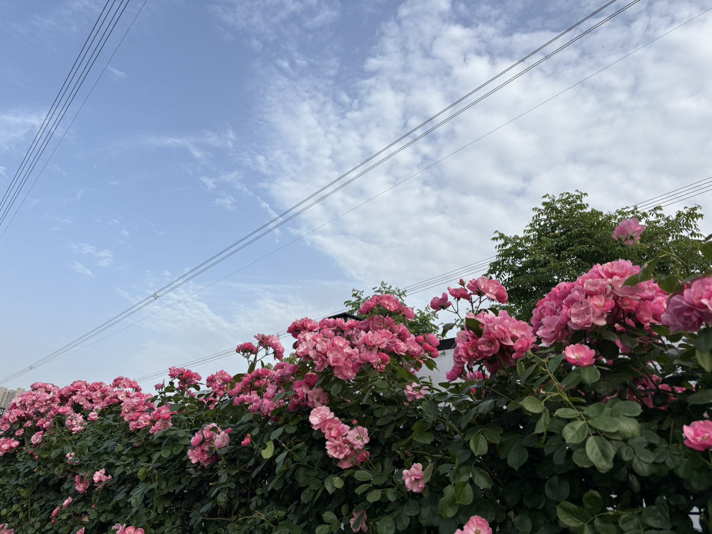 20250513090640front1_0_422405_Fk2RTxpxh-pkGzYeMqfZAO_uzNJc.jpg