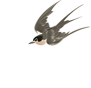 080934hjpguepoqtxb5lwj.gif