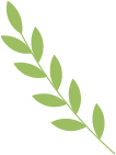 140513v02cgfcvl55gtclg.png