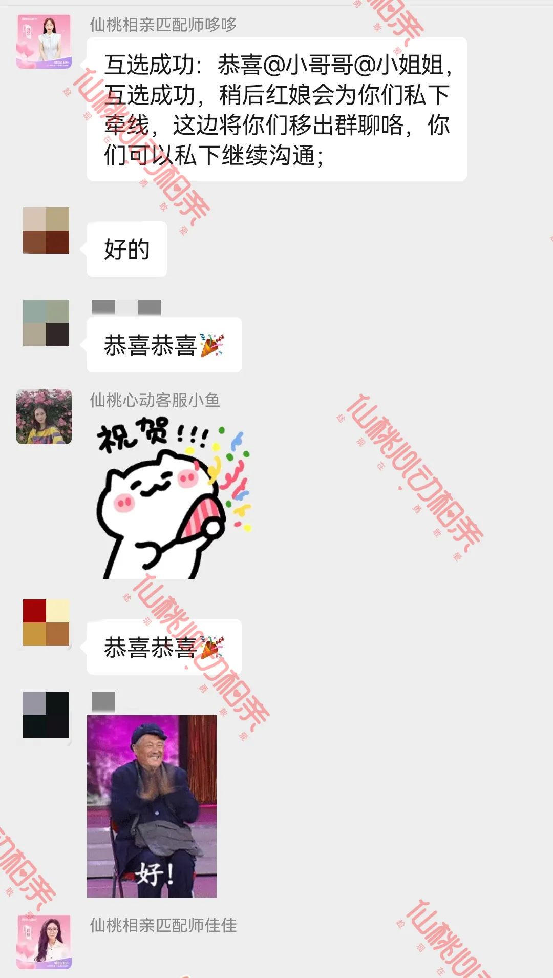 172701q1ap1qtc518viocp.jpeg