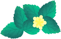 103807ybduxg0ured6byrr.png