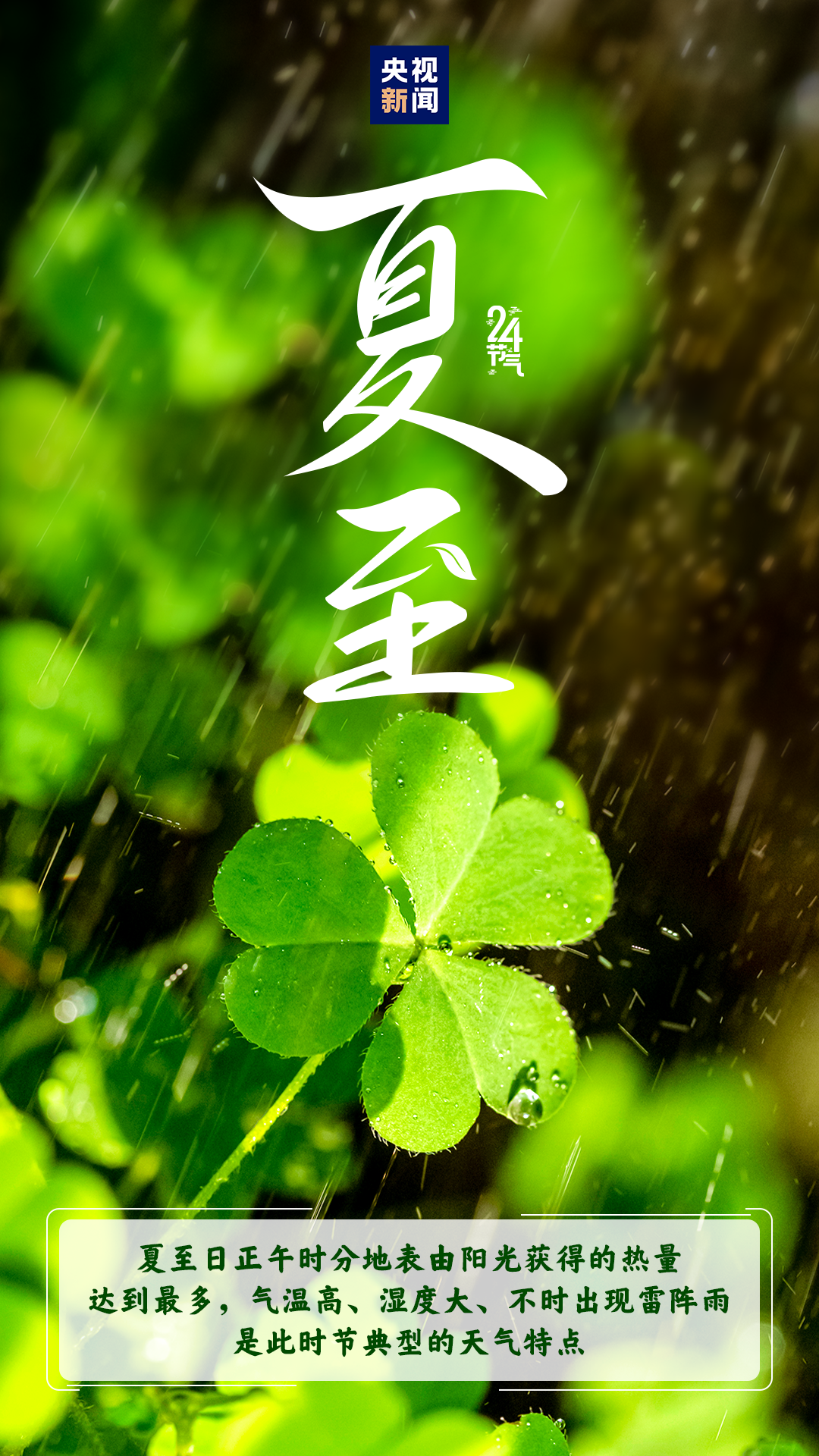 121552qa07780vz817phh8.png