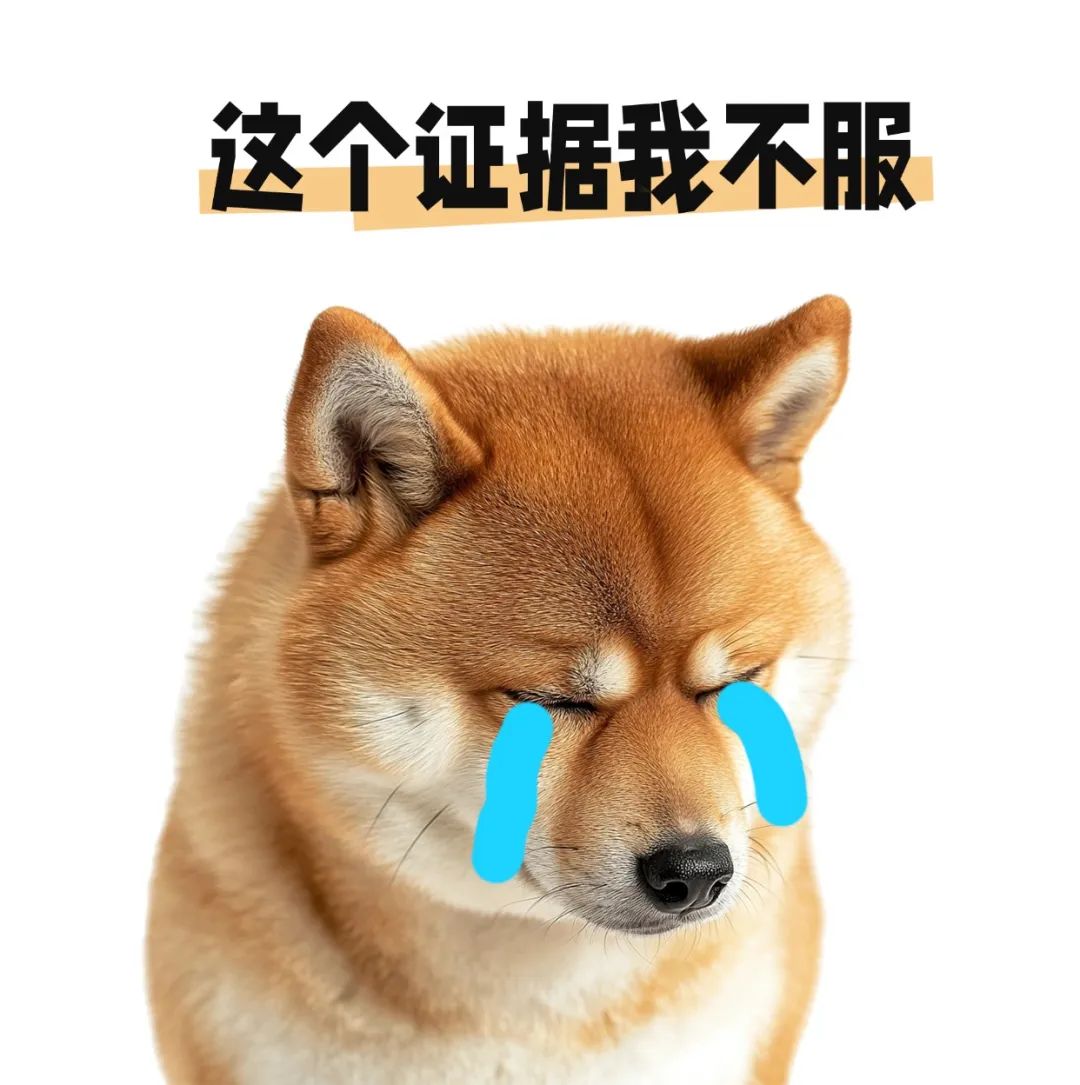 072228nhqratctz9rj6z66.jpeg