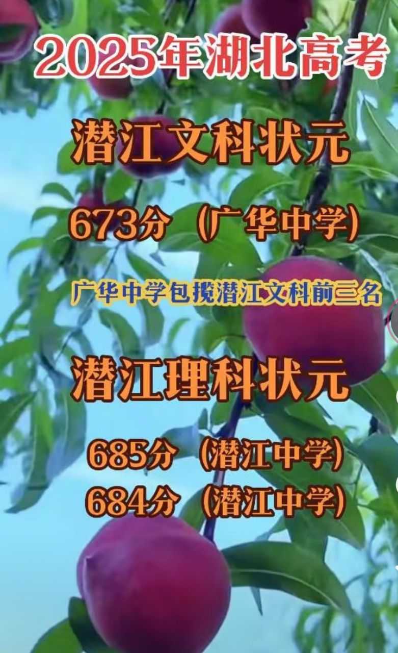 20250625095739front2_0_188780_Fkt_GbKtfiSRqxQVgb6YrdsUaIbx.jpg