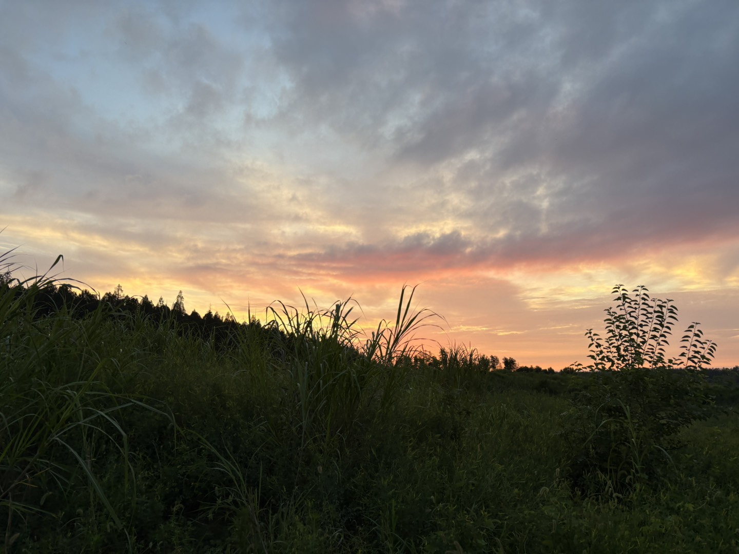 20250627083028front1_0_422405_Fhd8jnGfxmZMSvYru6fBbXuKb2mM.jpg