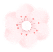 171653ranssn2nsbnof4nv.gif