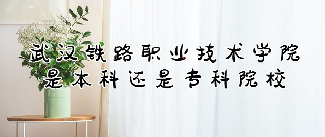 屏幕截图 2025-07-04 081958.png