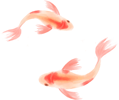 135302hwfyxyxlfx0p0l7x.png