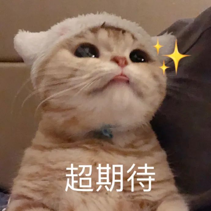 170854v8ykg8ay8j668aj6.jpeg
