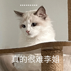 140159zw1w1y1m1w7ncjdw.png