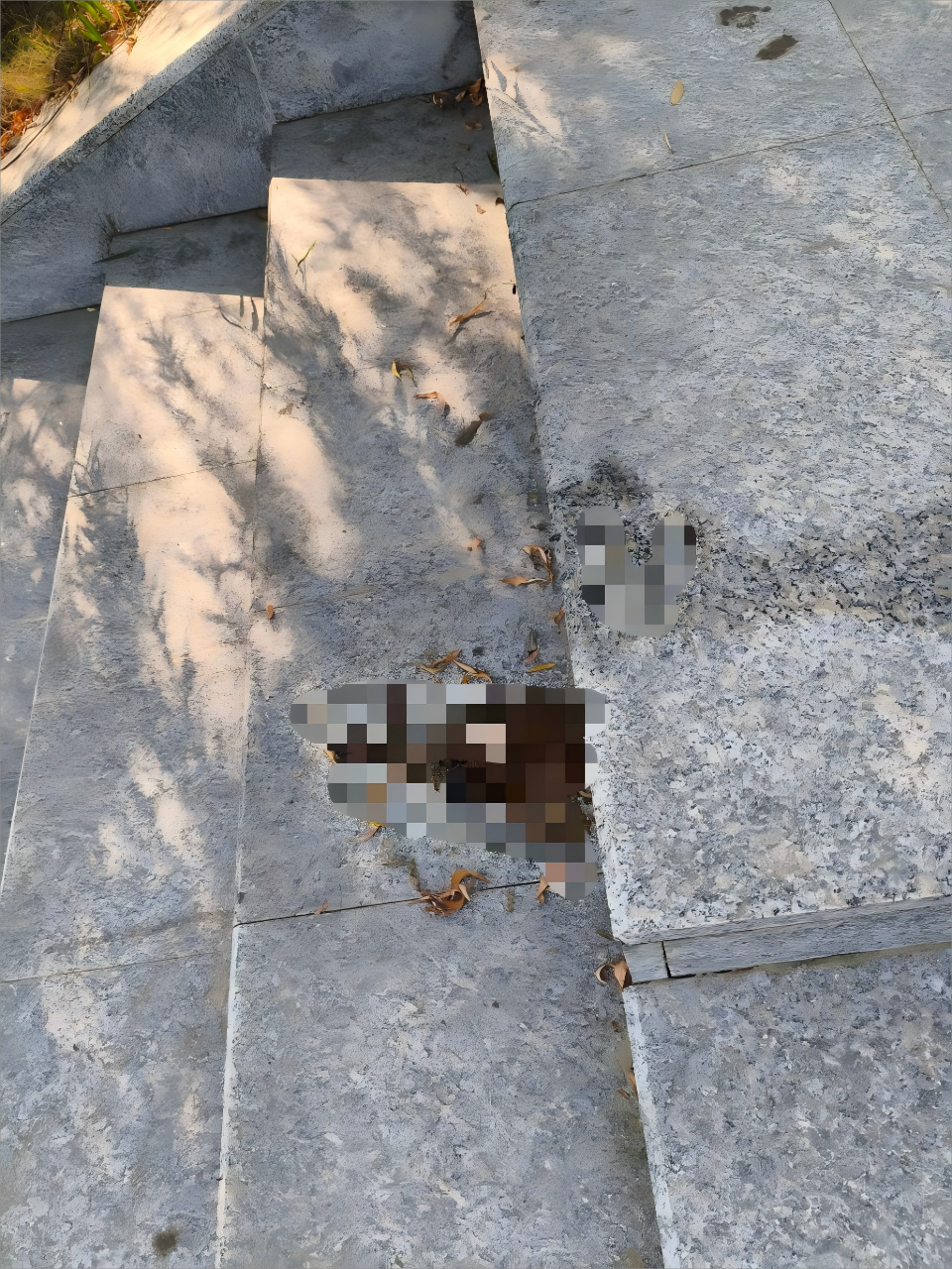 090047r1dh2ww2gzbffoo5(1).png