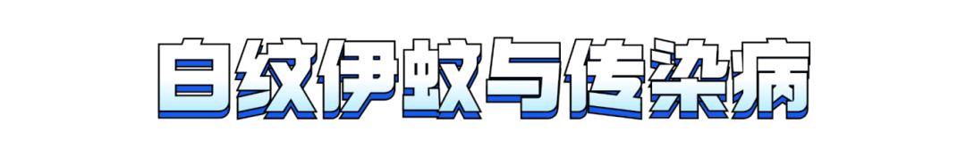 093642dhatc7ppajs8x7n7.png