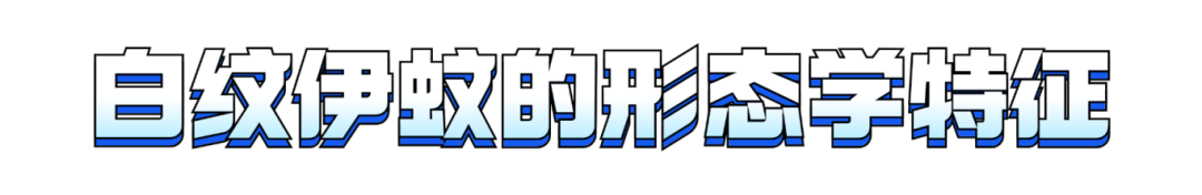 093642d1mle4mqltzrg8ir.png