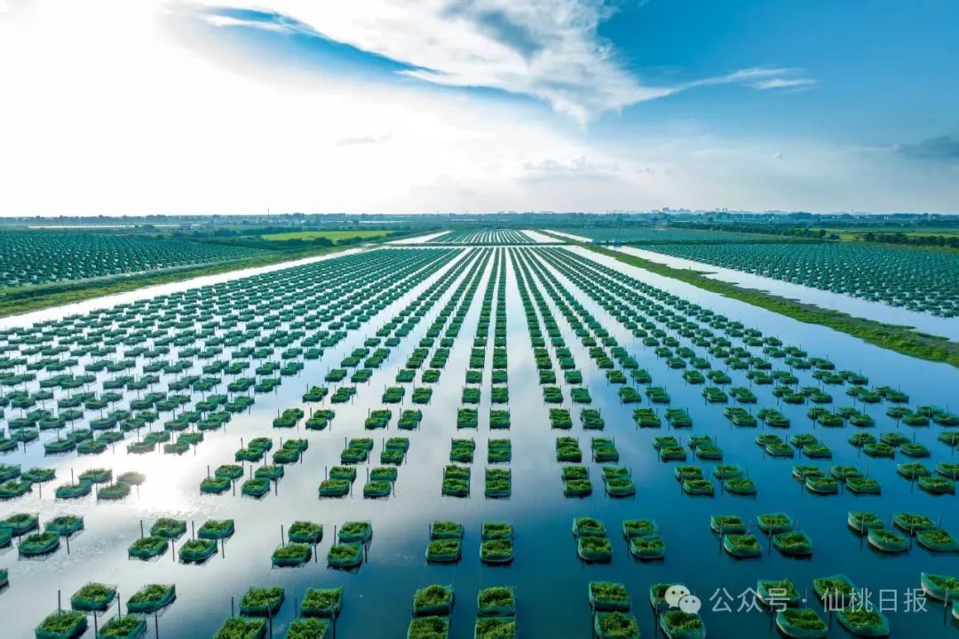 微信图片_20250807145811.jpg
