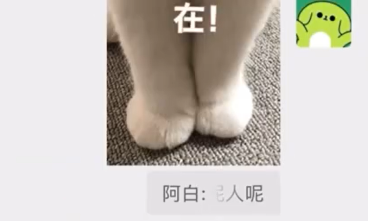 144406m9j8zofxbl1xx19x.png