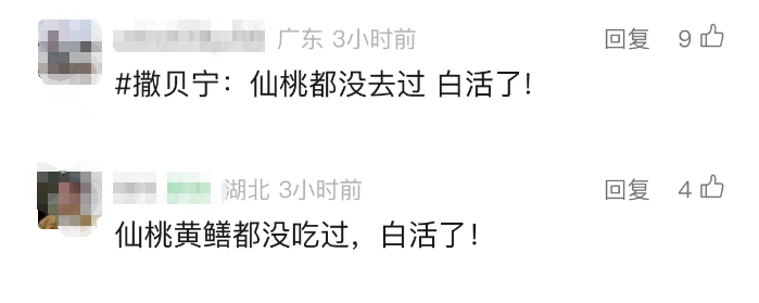 092746bjjzg122ml5il05g.png
