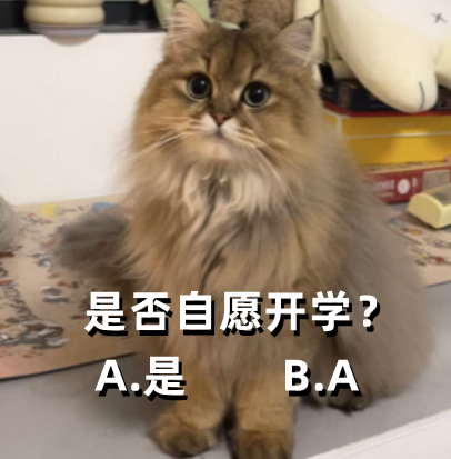 162116iprp8m8uozz6jcpo.png