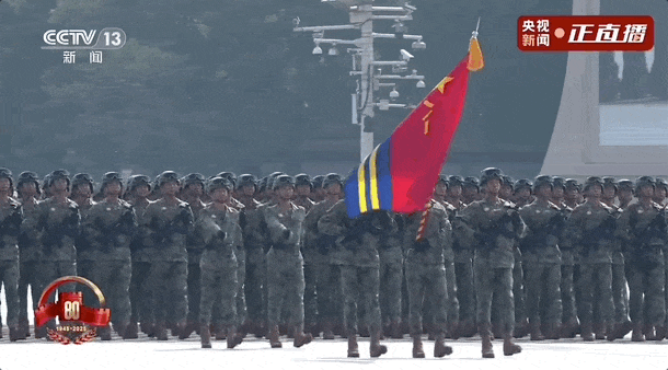 114311h7zu9amn7onmo99p.gif
