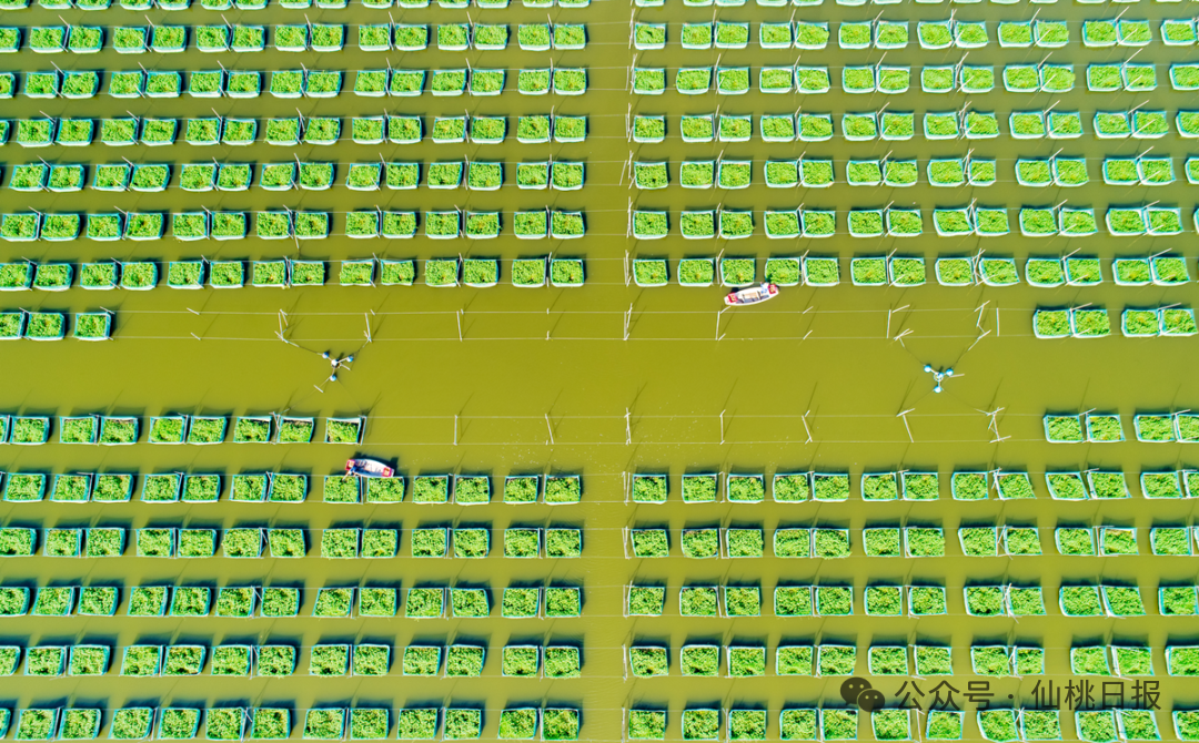 微信图片_2025-09-16_172551_651.png