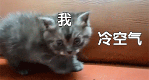 080423b8anl6ov5e48u536.gif