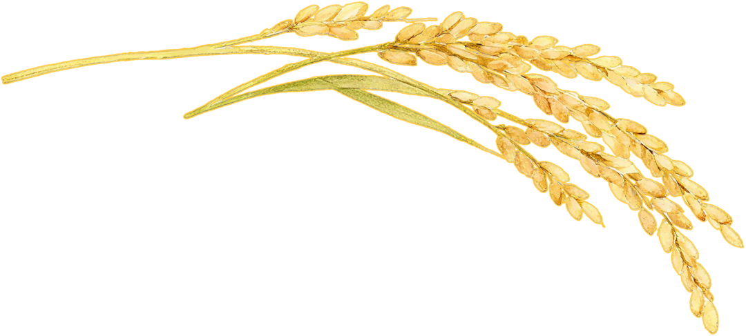 092713cfqpry0nbhqzyfhq.png