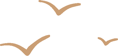 170029dn56gd644tnsazs6.png