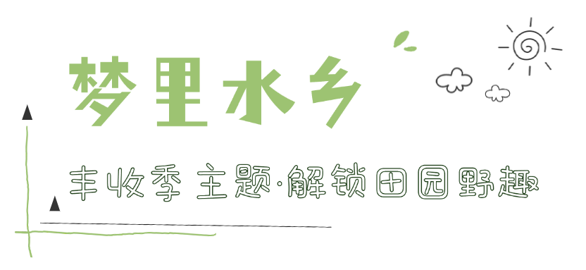 150153tp030bn5x5hhn5c3.png