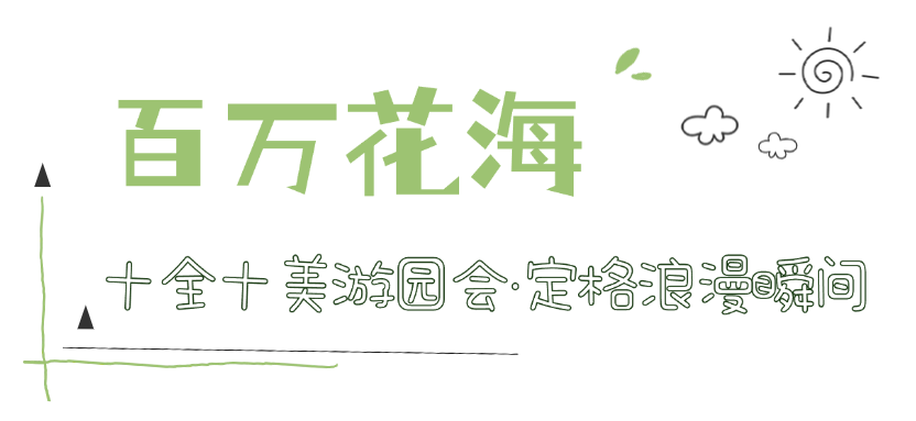 150159umrofgcmmijgvqfg.png