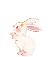 161331m661aani8f29c822.gif