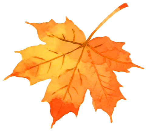 122119qih11r9n7ruo7k6p.png