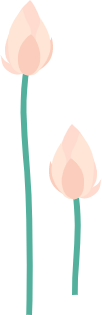 151551n2zoou3xx6uxlj9c.png