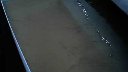 092700easgtwwreezer98c.gif