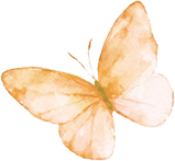 072933ns99ccikx4k2kkxc.png