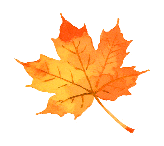 071006i3pdo6z4l44zol03.gif