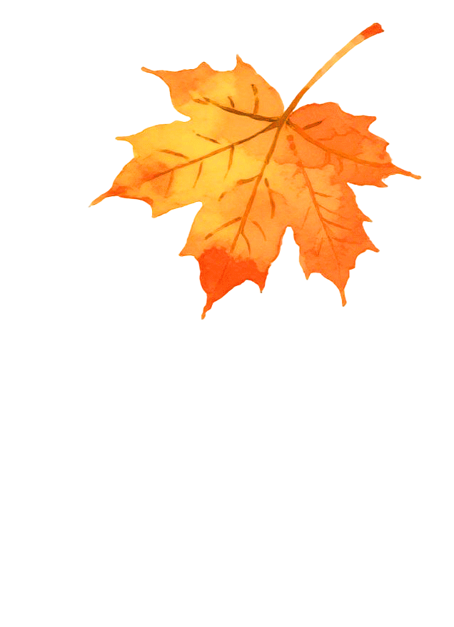 071011d8hxwdmxxindvzg2.gif
