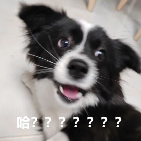 095403trekk119191718wc.jpeg