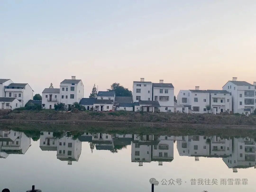微信图片_2025-10-20_090821_110.jpg